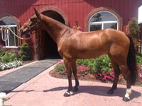 Caramia v. Chaccomo/C-Indoctro